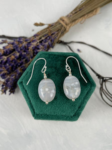 Botswana Agate Drop Earrings